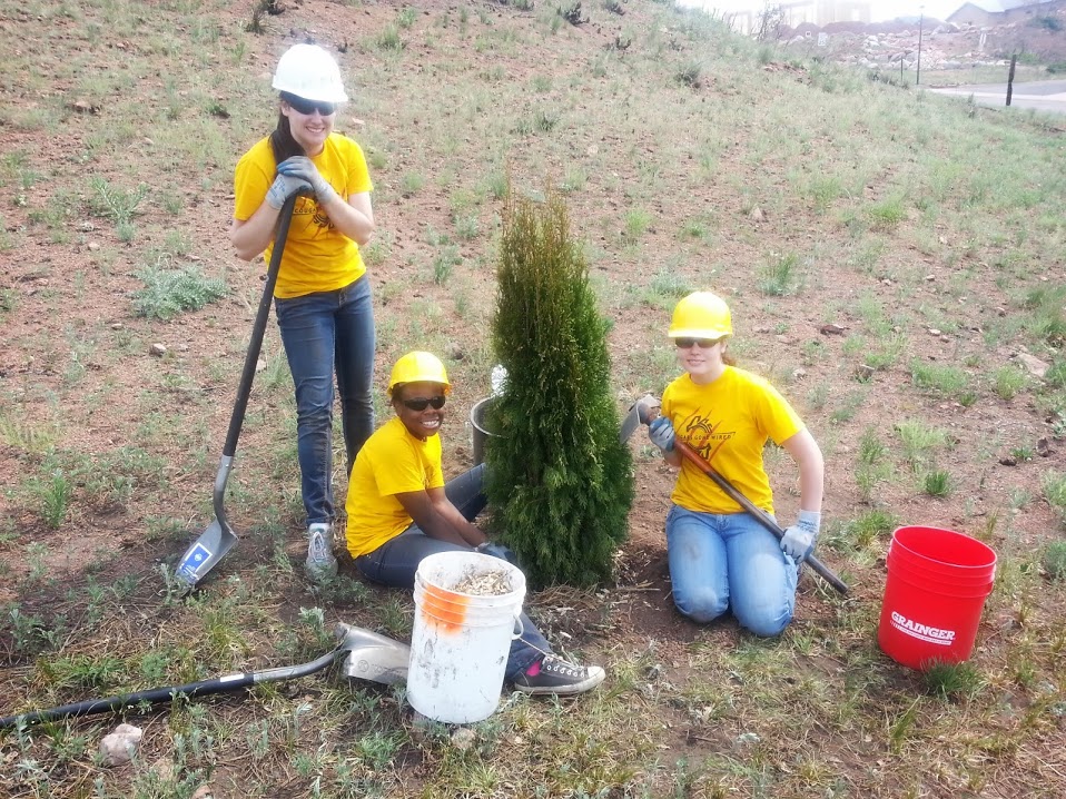 waldo canyon tree planting